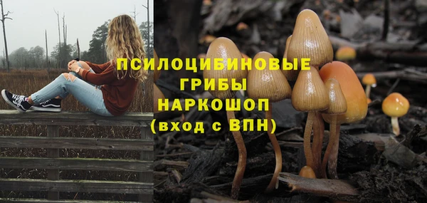 герыч Абаза