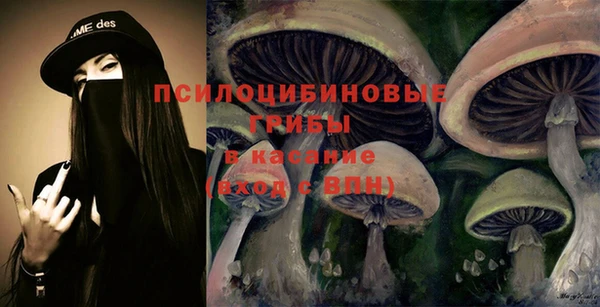 круглые Няндома